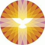 Website PKN Logo PKN